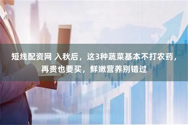 短线配资网 入秋后，这3种蔬菜基本不打农药，再贵也要买，鲜嫩营养别错过